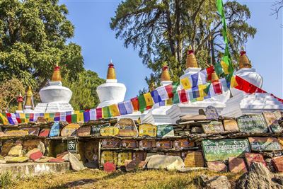 {image.media_title -> f:transform.html())} {image.copyright -> f:transform.html())}